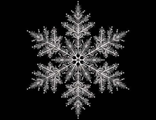Snowflakes Embroidery Design, Christmas Snowflakes Set in 4 sizes, Christmas Embroidery Design, Instant Download PES DST JEF