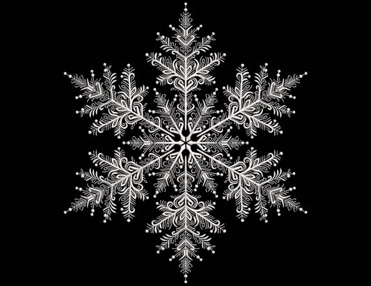 Snowflakes Machine Embroidery Design, Christmas Snowflakes Set in 4 sizes, Christmas Embroidery Design, Instant Download PES DST JEF VP3