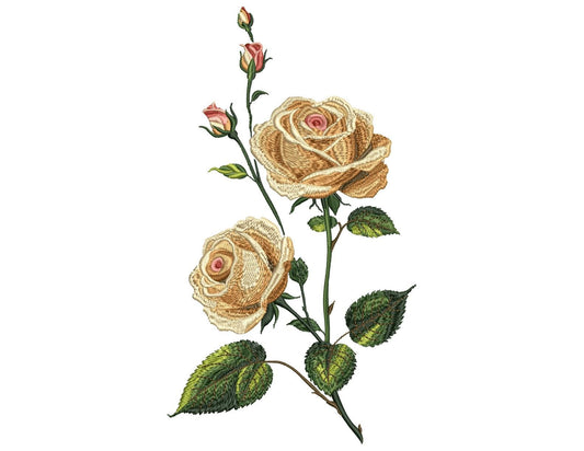 Elegant Vintage Rose Embroidery Design, Realistic Rose Machine Embroidery, Flower Embroidery, Romantic Floral Decor, Wedding Gift Idea PES